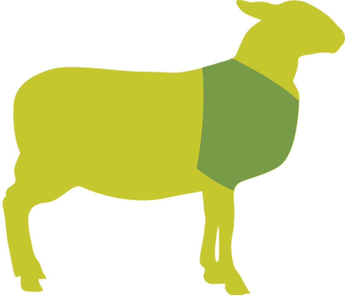 Butcher Lamb Diagram- Rack
